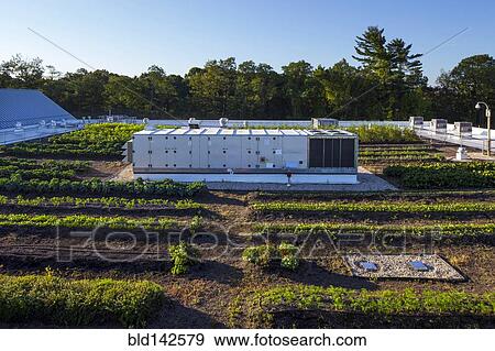 Generator in urban rooftop garden View Large Photo Image Stock Photo - Generator in urban rooftop garden. Fotosearch