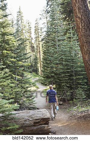 Stock Image - Man hiking on dirt trail in forest. Fotosearch