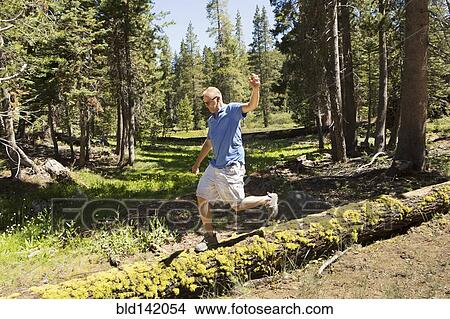 Picture - Man walking on log in forest. Fotosearch