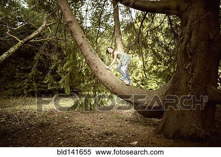 Stock Photography - Mixed race girl climbing tree in forest. Fotosearch
