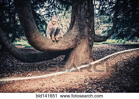 Mixed race girl climbing tree in park View Large Photo Image Stock Image - Mixed race girl climbing tree in park. Fotosearch