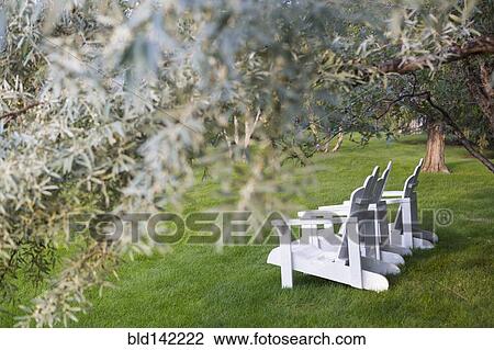 White adirondack chairs under tree View Large Photo Image Stock Image - White adirondack chairs under tree. Fotosearch