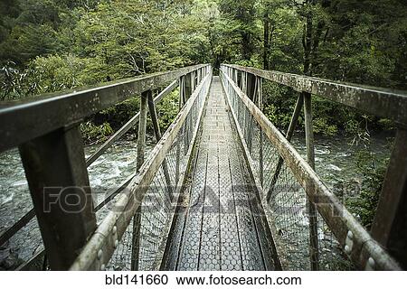 Wooden bridge over river in forest View Large Photo Image Stock Image - Wooden bridge over river in forest. Fotosearch