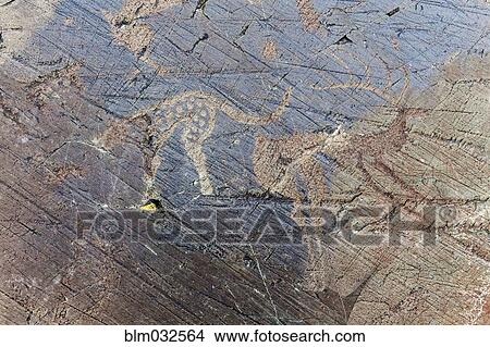Picture - Close up of petroglyphs on rock formations, Altai Tavn Bogd National Park, Bayan Ulgii, Mongolia. Fotosearch