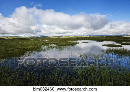 Clouds reflected in still remote pond View Large Photo Image Stock Image - Clouds reflected in still remote pond. Fotosearch