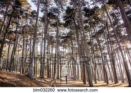 Couple holding hands under trees in forest View Large Photo Image Stock Image - Couple holding hands under trees in forest. Fotosearch