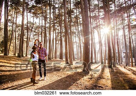 Stock Image - Couple holding hands under trees in sunny forest. Fotosearch