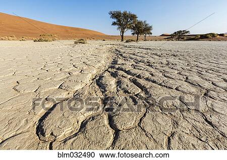 Cracked earth in dried lake bed in desert landscape View Large Photo Image Stock Image - Cracked earth in dried lake bed in desert landscape. Fotosearch