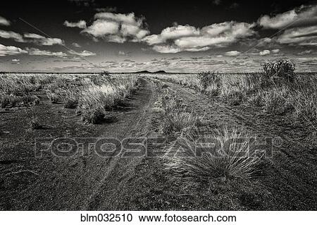 Stock Image - Dirt road in desert landscape. Fotosearch