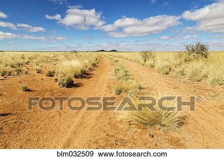 Stock Photo - Dirt road under blue sky in desert landscape. Fotosearch