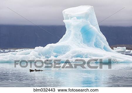 Glacier floating in Jokulsarlon Glacier Lagoon, Iceland View Large Photo Image Stock Image - Glacier floating in Jokulsarlon Glacier Lagoon, Iceland. Fotosearch
