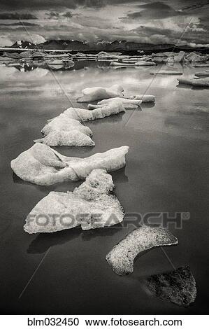 Glaciers floating in still arctic water View Large Photo Image Stock Image - Glaciers floating in still arctic water. Fotosearch