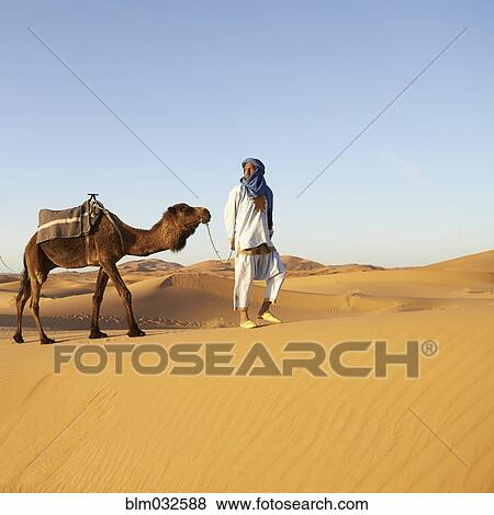 Guide leading camel on sand dune in desert landscape View Large Photo Image Stock Photo - Guide leading camel on sand dune in desert landscape. Fotosearch
