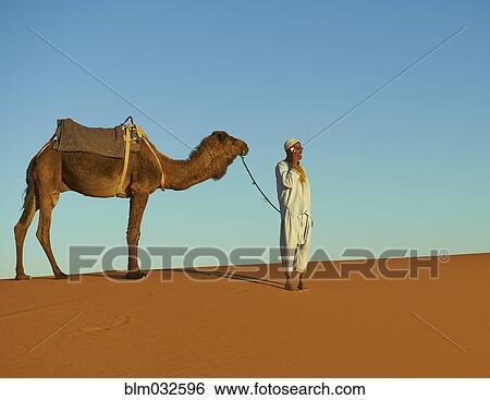 Stock Photograph - Guide talking on cell phone with camel on sand dune. Fotosearch