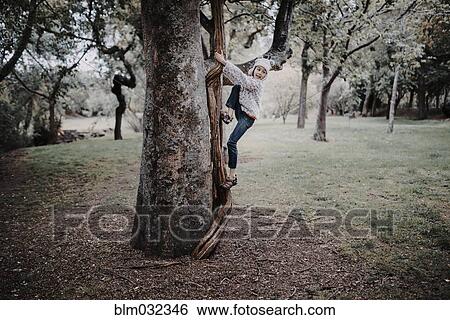 Stock Photograph - Mixed race girl climbing tree in park. Fotosearch