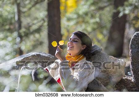 Stock Photo - Mixed race woman admiring autumn leaves in forest. Fotosearch