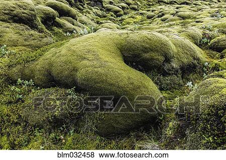 Stock Photo - Mossy rock formations in remote field. Fotosearch