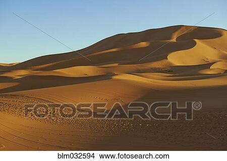 Picture - Sand dunes in desert landscape. Fotosearch