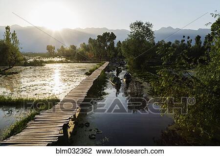 Wooden dock on marshy lake View Large Photo Image Stock Image - Wooden dock on marshy lake. Fotosearch