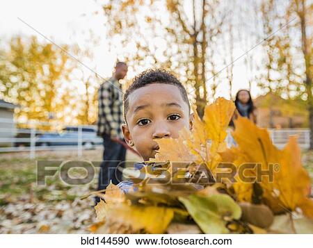 Black boy holding bundle of autumn leaves View Large Photo Image Stock Image - Black boy holding bundle of autumn leaves. Fotosearch