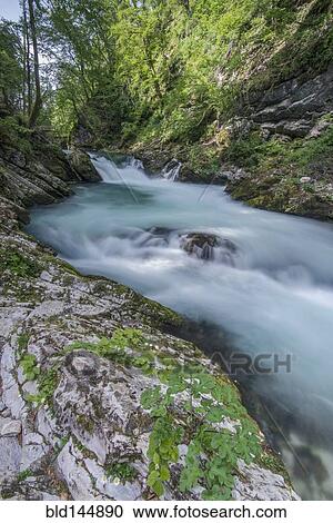 Blurred view of rocky creek in forest View Large Photo Image Stock Image - Blurred view of rocky creek in forest. Fotosearch
