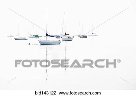 Boat masts reflecting in water View Large Photo Image Stock Image - Boat masts reflecting in water. Fotosearch
