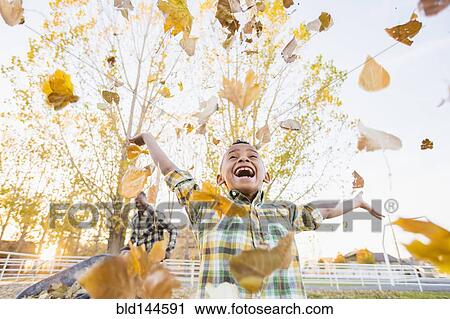 Boy playing in autumn leaves View Large Photo Image Stock Image - Boy playing in autumn leaves. Fotosearch