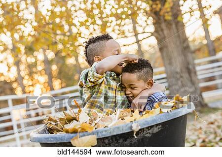 Brothers playing in autumn leaves in wheelbarrow View Large Photo Image Picture - Brothers playing in autumn leaves in wheelbarrow. Fotosearch