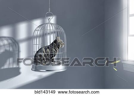 Cat sitting in birdcage View Large Photo Image Stock Photo - Cat sitting in birdcage. Fotosearch