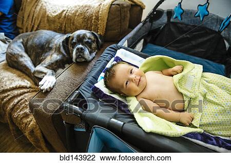 Stock Image - Caucasian baby boy smiling on crib near sleeping dog. Fotosearch