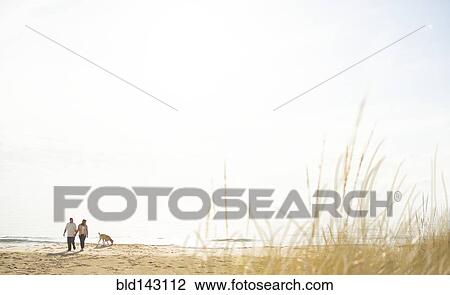 Stock Image - Caucasian couple walking dog on beach. Fotosearch
