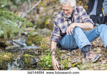 Caucasian hiker dipping fingers in forest creek View Large Photo Image Picture - Caucasian hiker dipping fingers in forest creek. Fotosearch