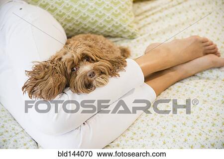 Caucasian woman relaxing with pet dog View Large Photo Image Stock Image - Caucasian woman relaxing with pet dog. Fotosearch