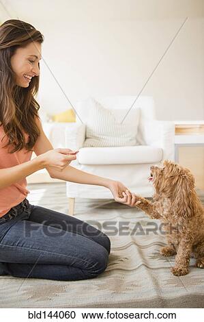 Stock Image - Caucasian woman teaching pet dog to shake. Fotosearch
