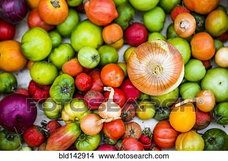Close up of abundance of variety of produce View Large Photo Image Picture - Close up of abundance of variety of produce. Fotosearch
