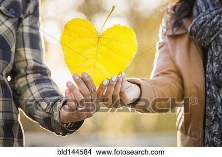 Close up of Black couple holding heart shaped leaf View Large Photo Image Picture - Close up of Black couple holding heart shaped leaf. Fotosearch