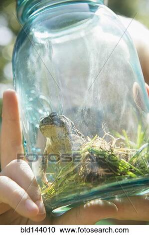 Stock Image - Close up of Caucasian boy holding jar with frog. Fotosearch