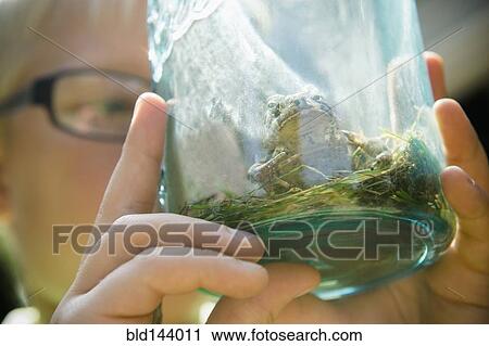 Close up of Caucasian boy holding jar with frog View Large Photo Image Stock Image - Close up of Caucasian boy holding jar with frog. Fotosearch