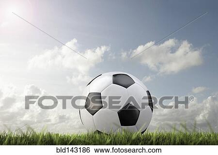 Close up of soccer ball in grass View Large Photo Image Stock Photograph - Close up of soccer ball in grass. Fotosearch
