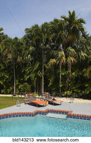 Stock Image - Deck chairs near swimming pool in backyard. Fotosearch