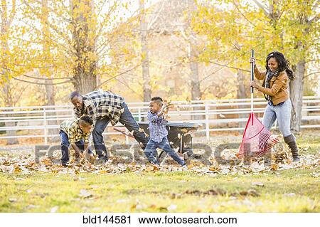 Family raking autumn leaves together View Large Photo Image Stock Image - Family raking autumn leaves together. Fotosearch