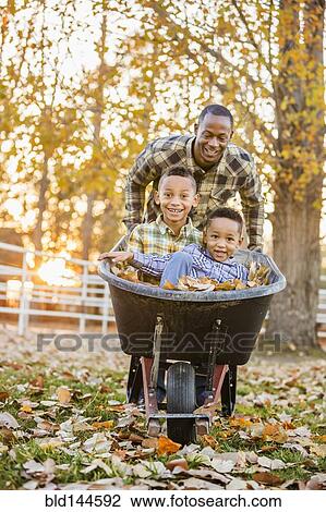 Stock Image - Father pushing sons in wheelbarrow in autumn leaves. Fotosearch