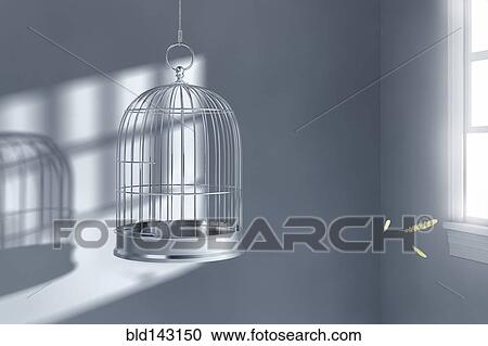 Feathers floating near empty birdcage View Large Photo Image Stock Image - Feathers floating near empty birdcage. Fotosearch