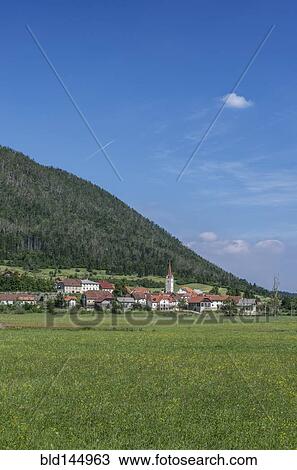 Grass meadow outside rural village, Karst, Carniola, Slovenia View Large Photo Image Stock Image - Grass meadow outside rural village, Karst, Carniola, Slovenia. Fotosearch