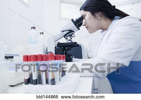 Hispanic scientist examining blood samples in laboratory View Large Photo Image Stock Photograph - Hispanic scientist examining blood samples in laboratory. Fotosearch