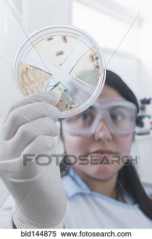 Stock Photography - Hispanic scientist examining blood sample in laboratory. Fotosearch