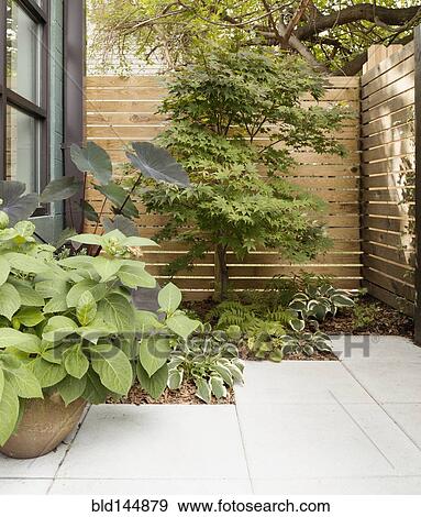 Stock Photo - Landscaping and patio of modern condo building. Fotosearch