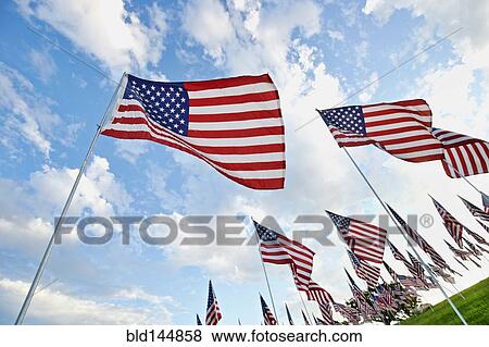 Stock Photo - Low angle view of American flags under blue sky. Fotosearch