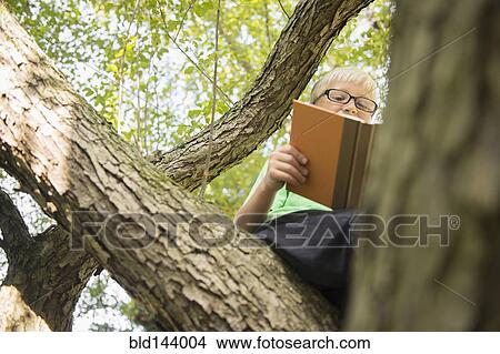 Low angle view of Caucasian boy reading in tree View Large Photo Image Picture - Low angle view of Caucasian boy reading in tree. Fotosearch