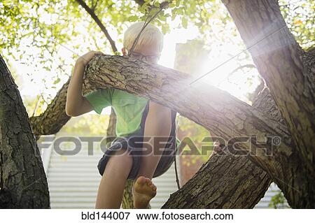 Stock Photo - Low angle view of Caucasian boy climbing tree. Fotosearch